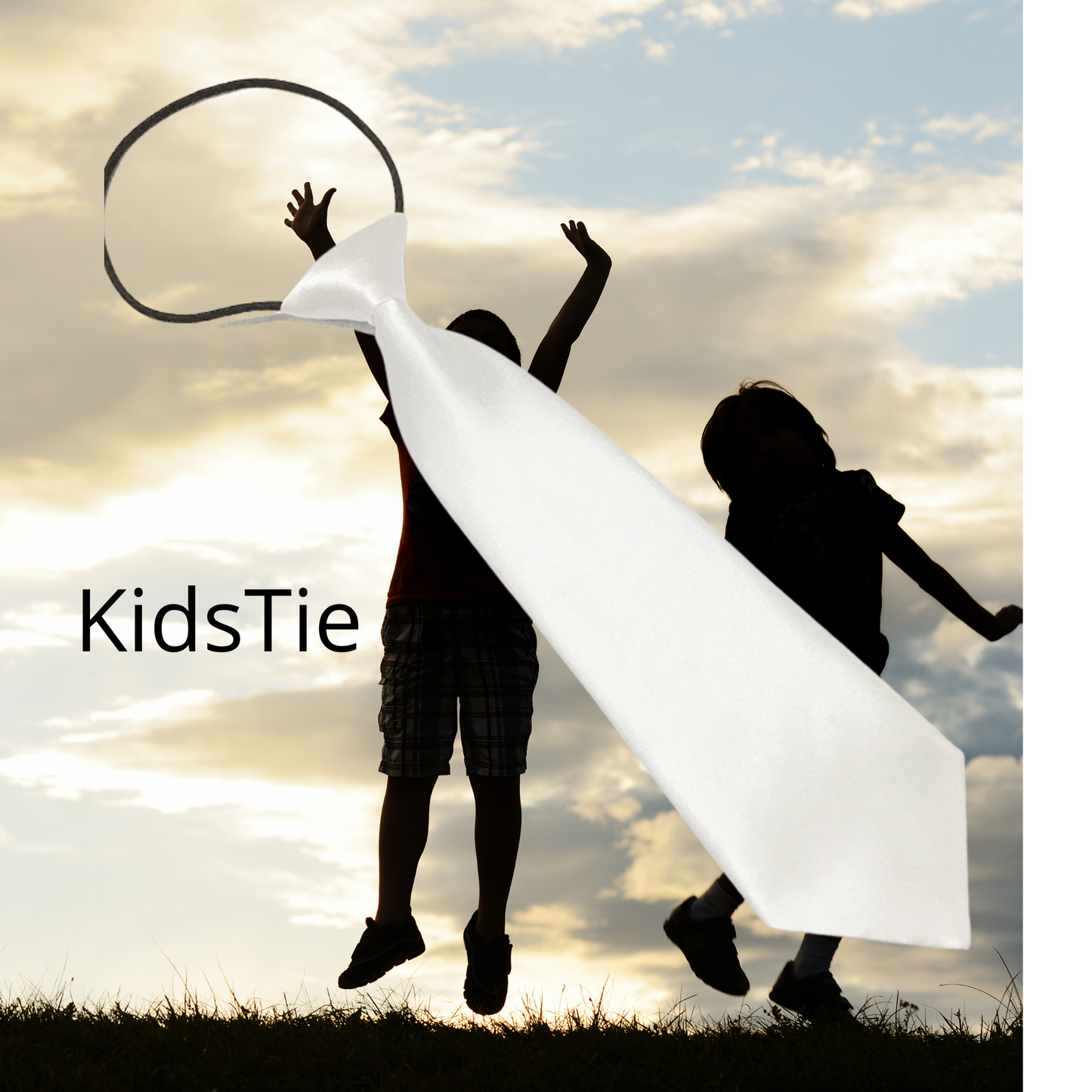 Neck Ties Sublimation Blank